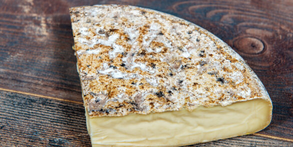 famous Tomme de Savoie, French cheese Savoy, french Alps France.